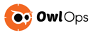 OwlOps Logo Horizontal White Outline-1